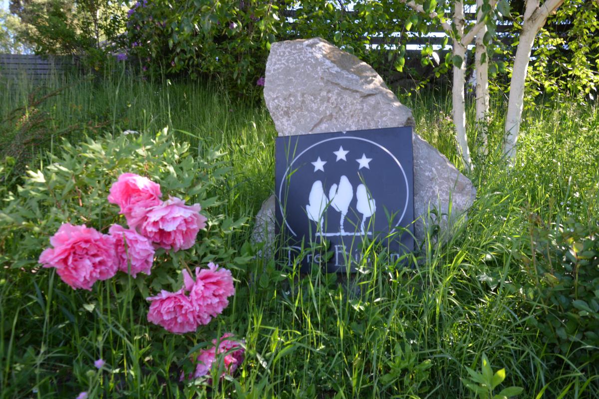 Bad Siess 04.06.2024